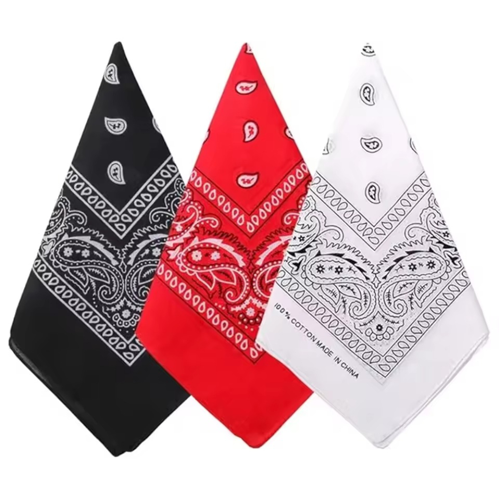 Hip Hop Cowboy Paisley Scarf L - Ascot Neck Scarf avis et prix
